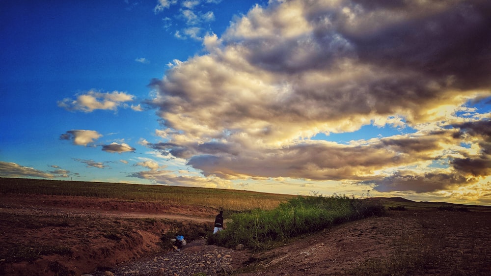 person in black jacket walking on brown field under blue and white cloudy sky during daytime