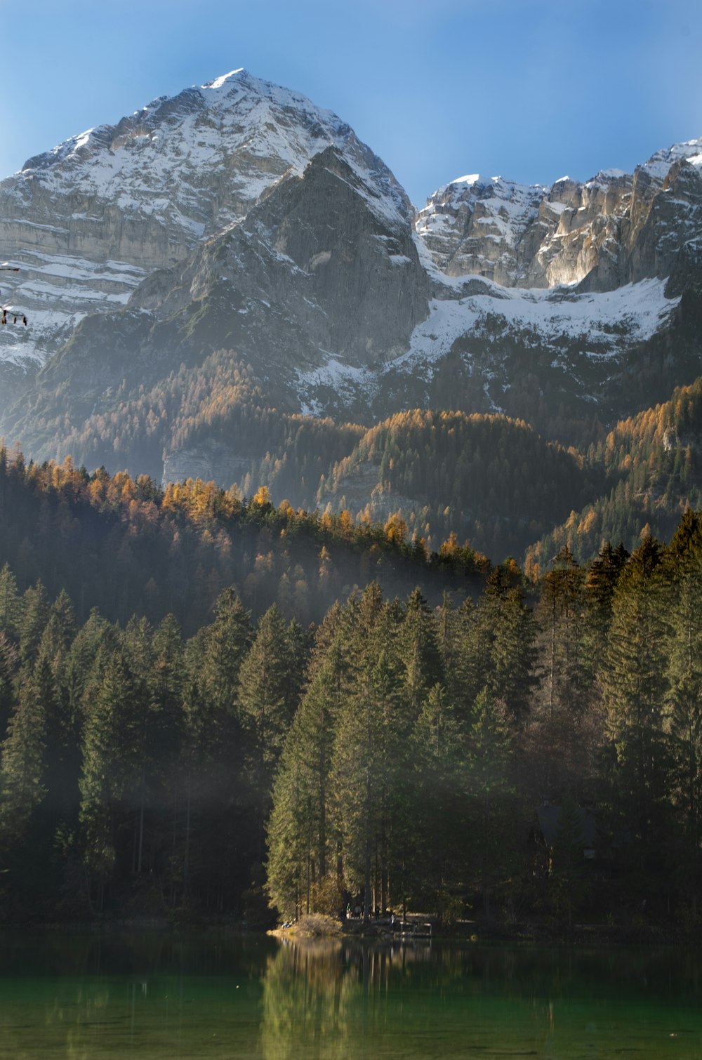 green pine trees near snow covered mountain during daytime