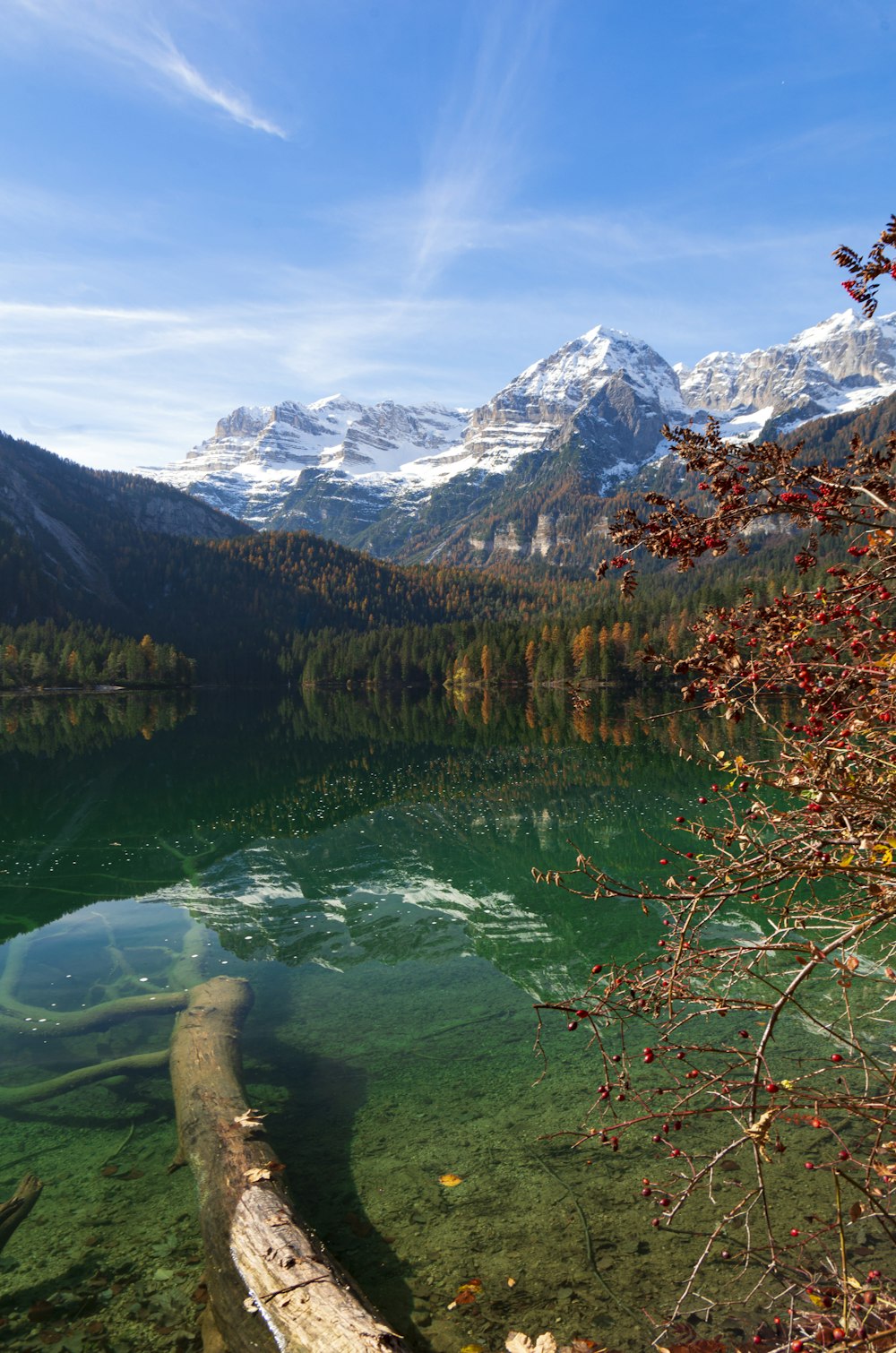 green trees near lake and snow covered mountains during daytime