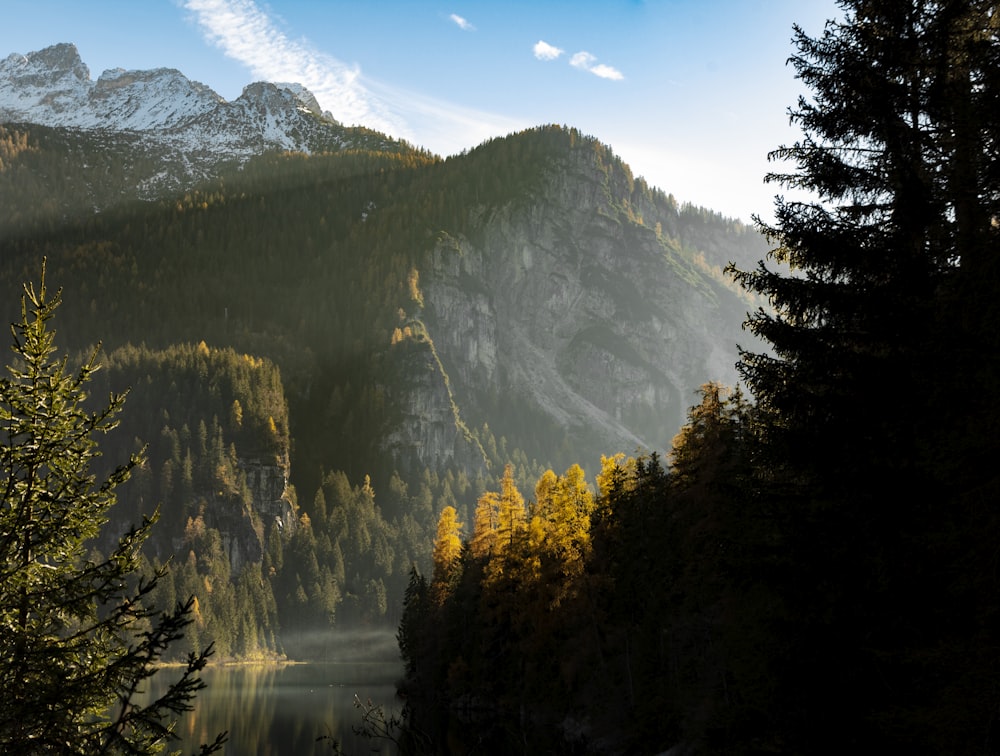 Grüne Bäume in der Nähe von See und Berg tagsüber unter blauem Himmel