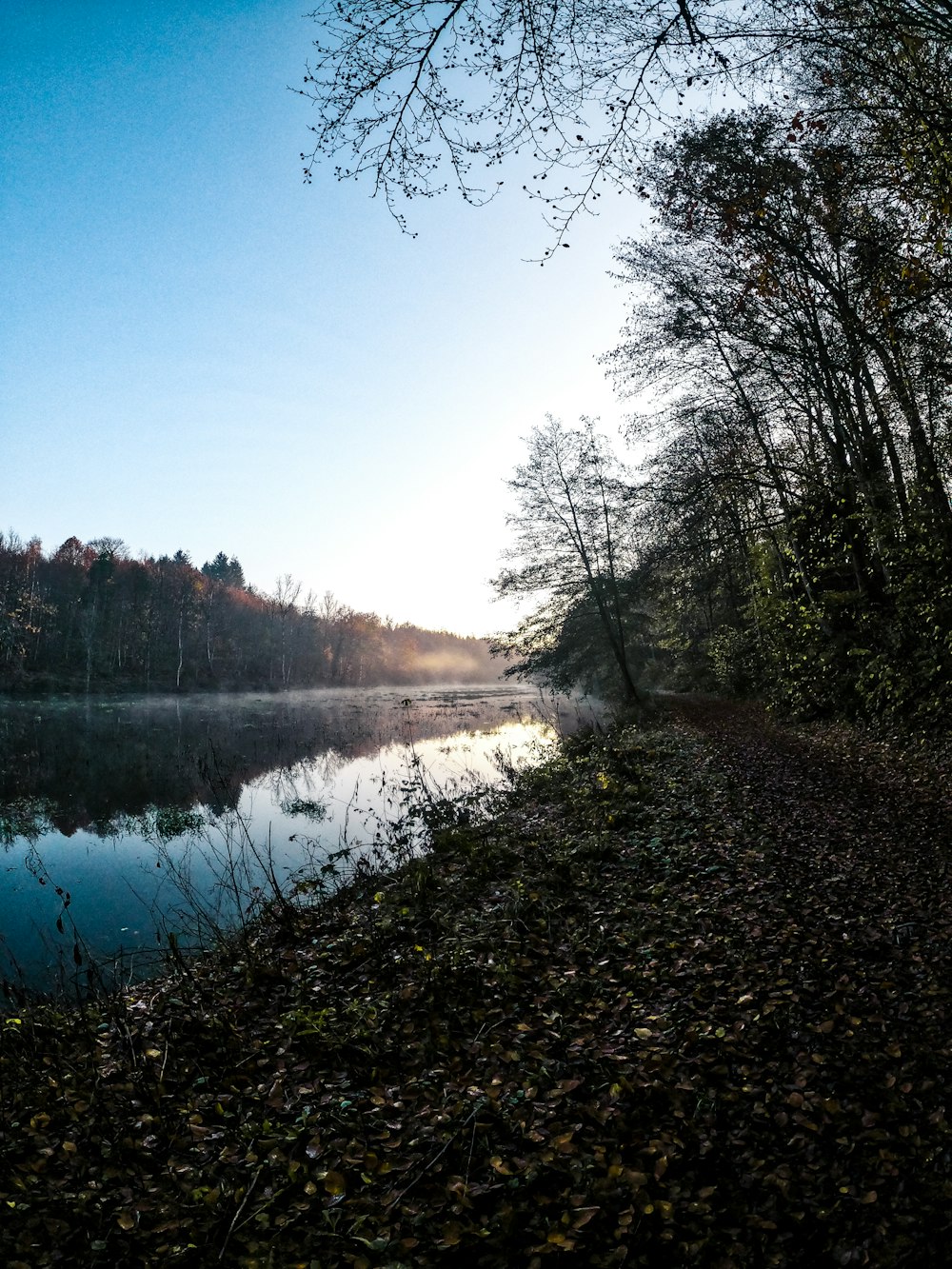 lake surrounded by trees under blue sky during daytime