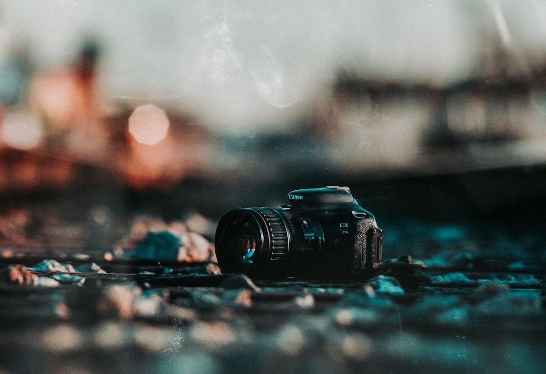 black nikon dslr camera on water,