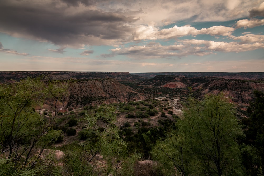 green trees on brown mountain under white clouds during daytime