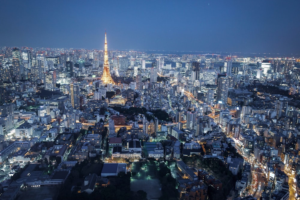 aerial view of city buildings during night time