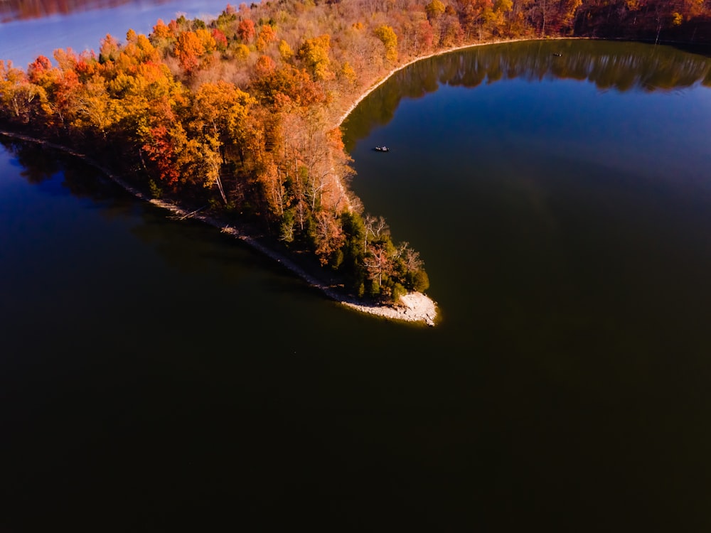 aerial view of river between trees