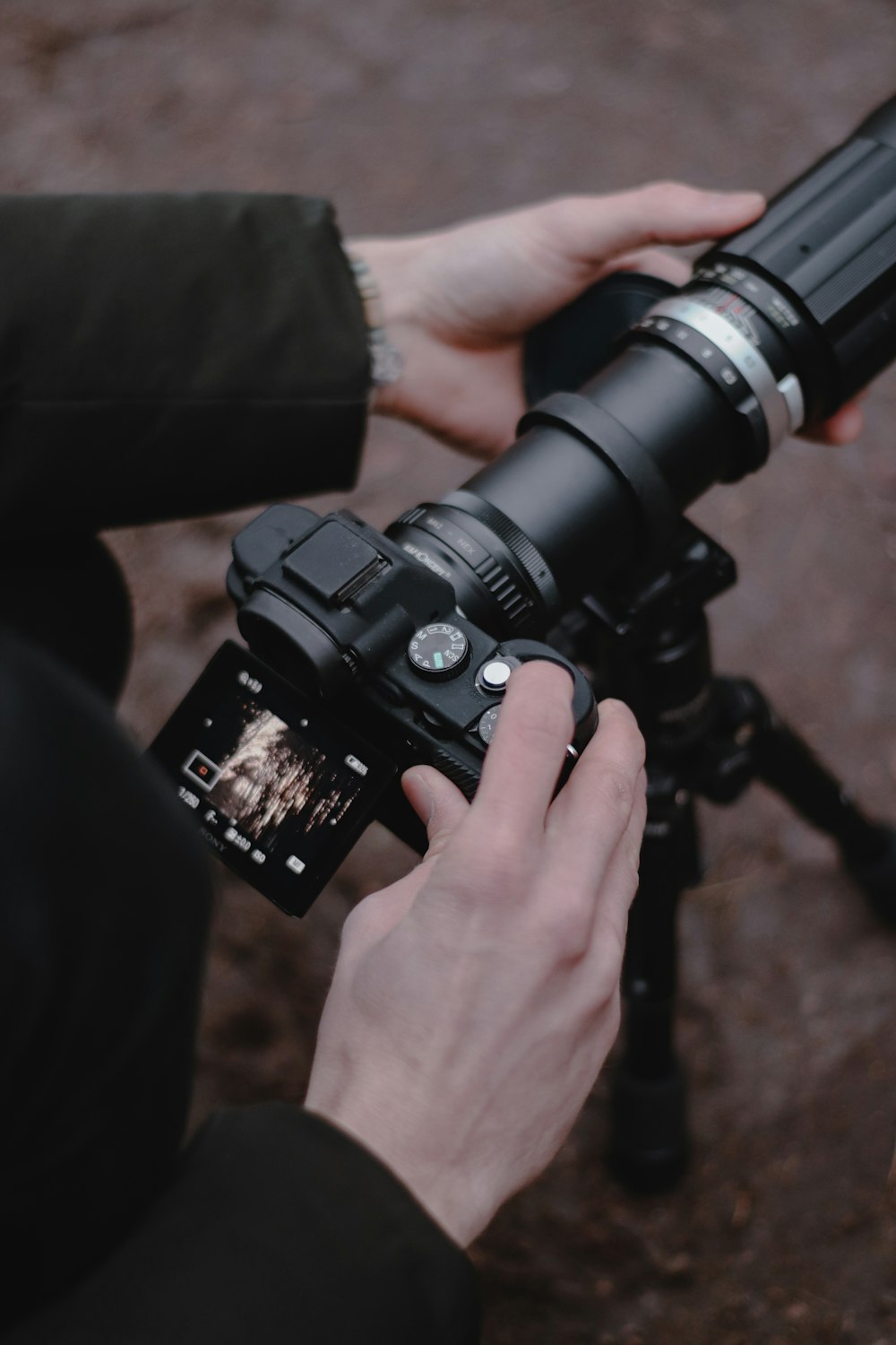 person holding black dslr camera