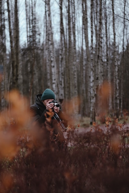 Mountain spring and stream in western hunting terrain