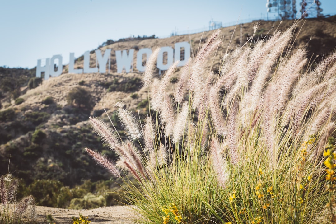 Navigating Los Angeles Neighborhoods for the Best Comedy Training Hubs — How to Find the Best Improv