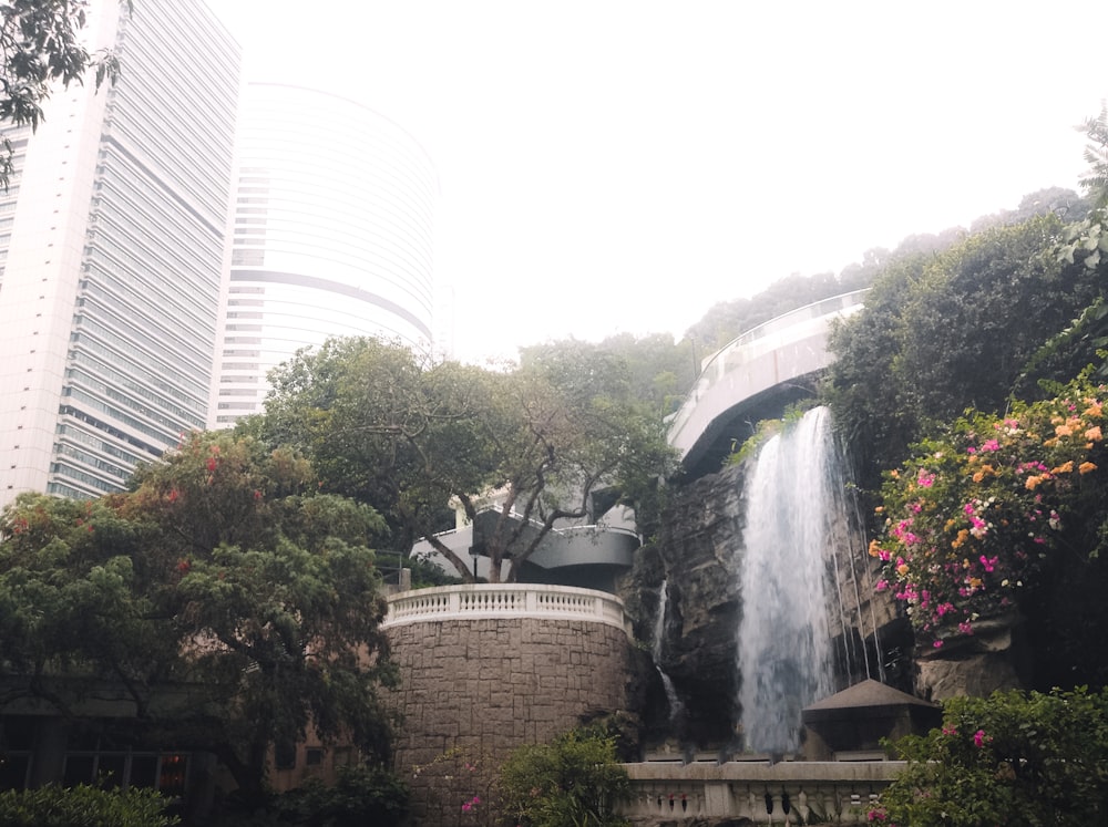 green trees near water fountain