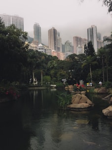 green trees near body of water during daytime