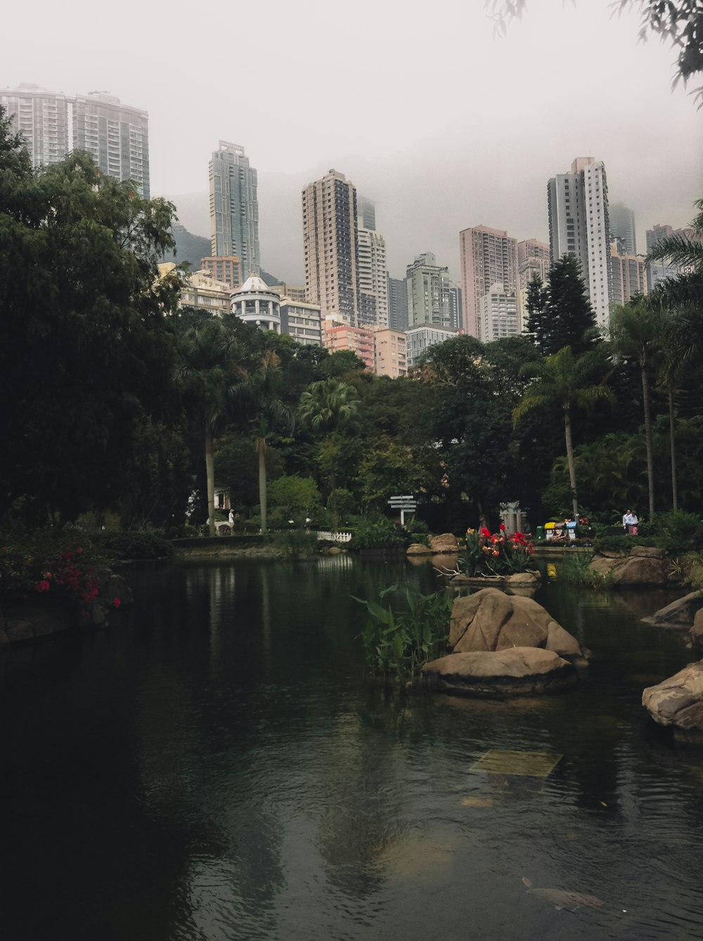 green trees near body of water during daytime