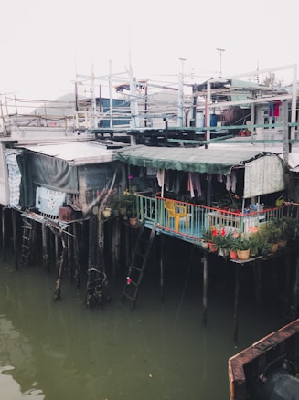 A cluster of stilt houses extends over a body of water. The structures are constructed with a variety of materials, including corrugated metal, wood, and tarpaulin. A small balcony area is adorned with potted plants and a bright yellow chair. Clothes hang from a line, suggesting this area is inhabited. Several makeshift ladders provide access between levels.