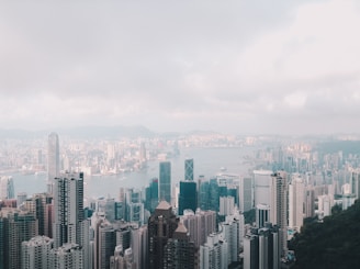 city skyline under white sky during daytime