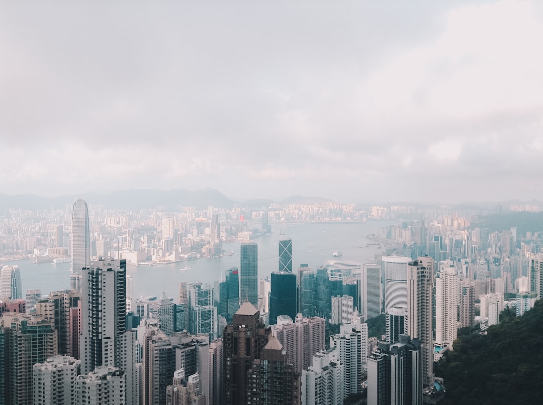 city skyline under white sky during daytime