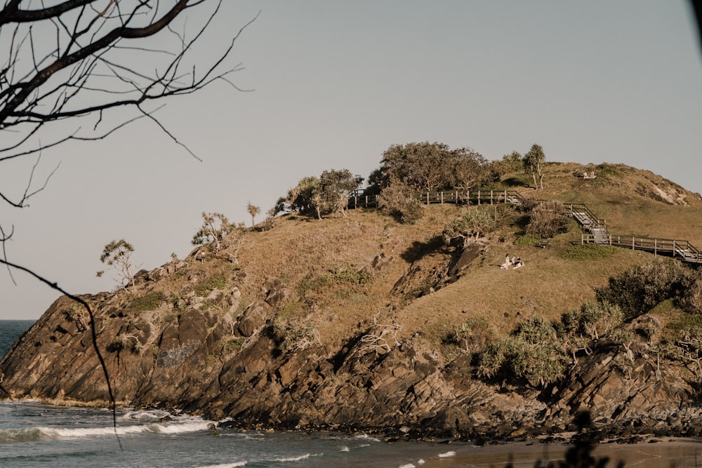 alberi verdi vicino allo specchio d'acqua durante il giorno