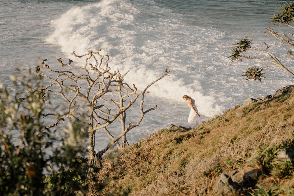 white bird on brown tree branch near body of water during daytime