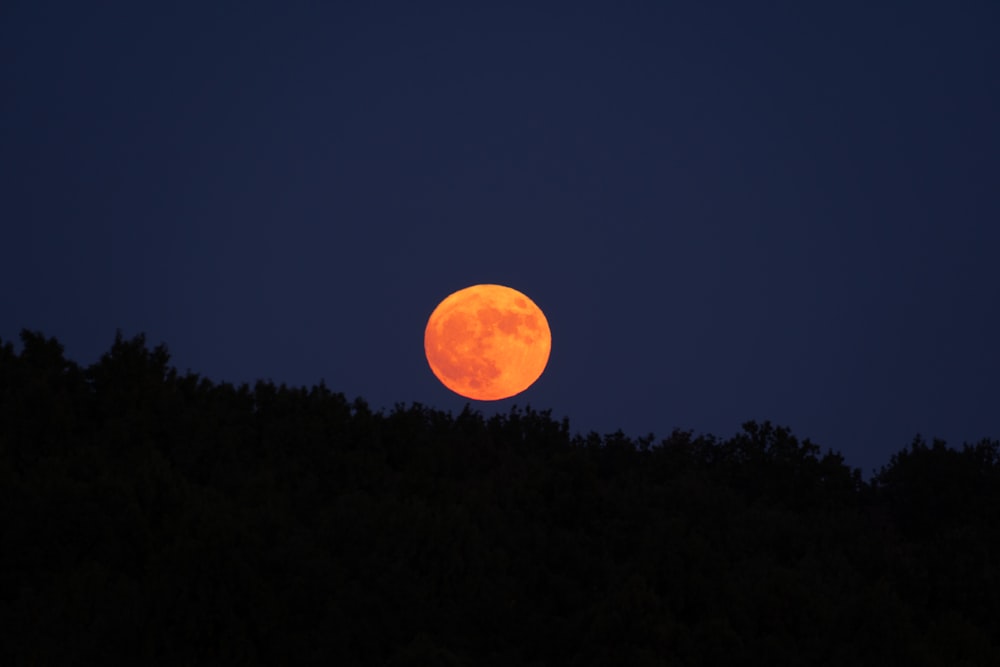 full moon over green trees