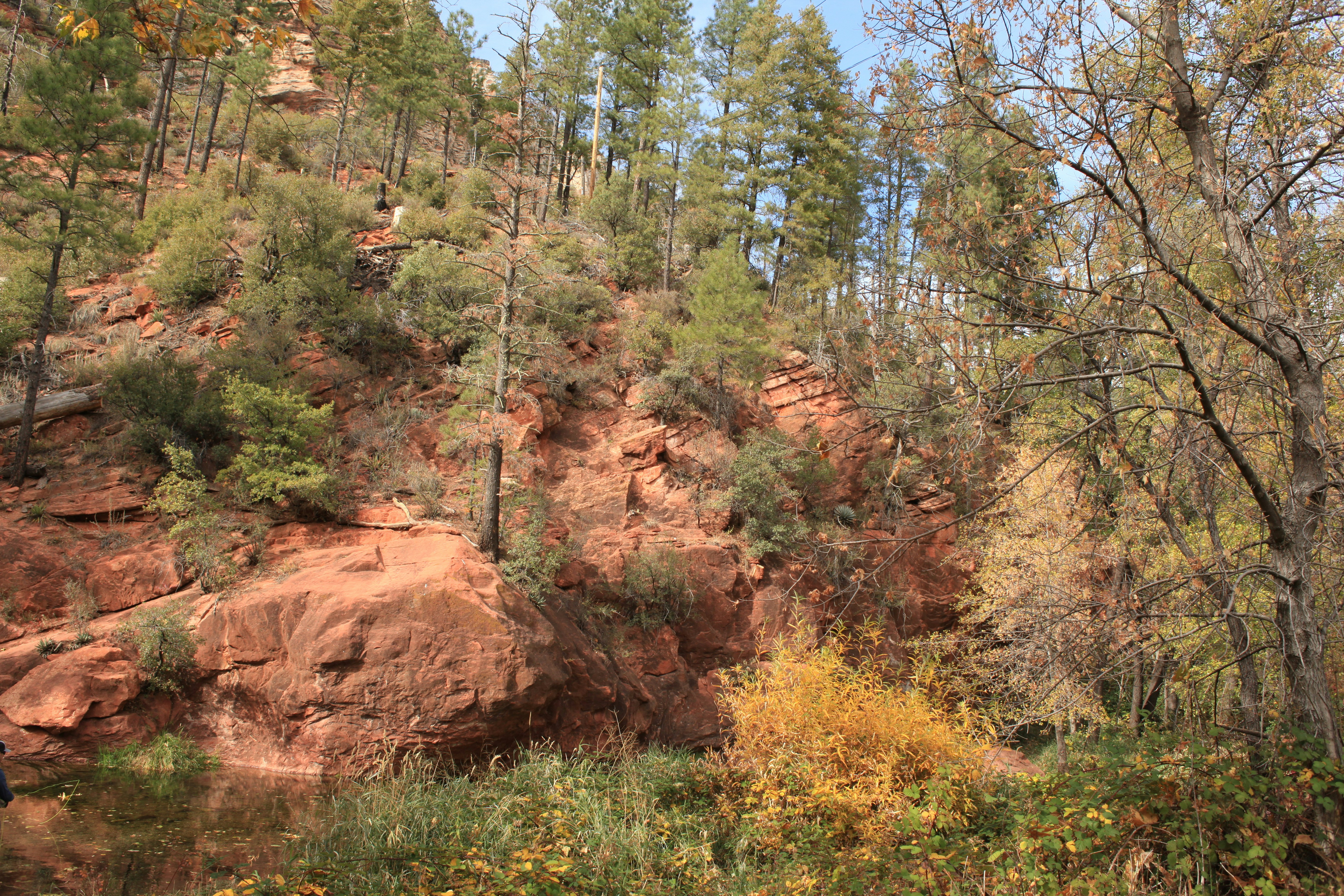 Photo by bradleysingleton