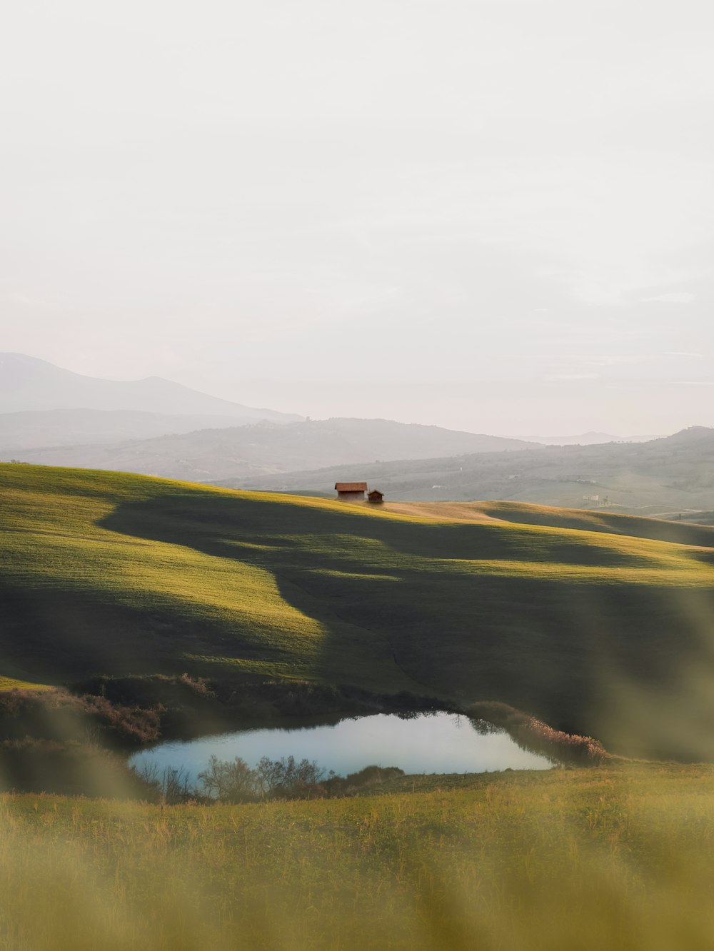 campo di erba verde vicino al lago sotto il cielo bianco durante il giorno