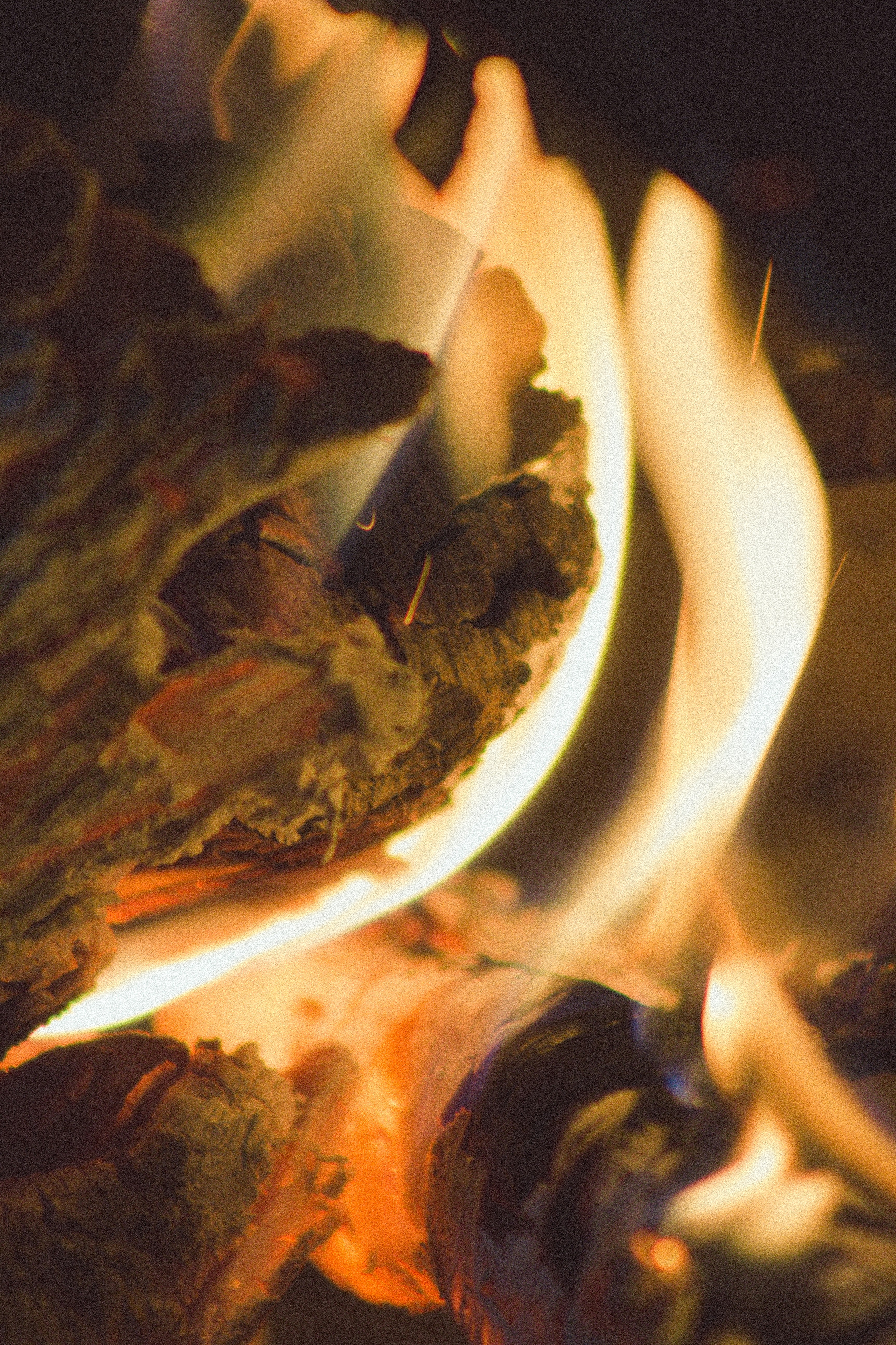 Photo by ggiqueaux