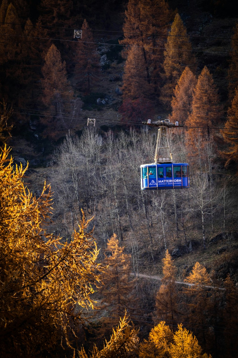 blue and white cable car over green trees during daytime