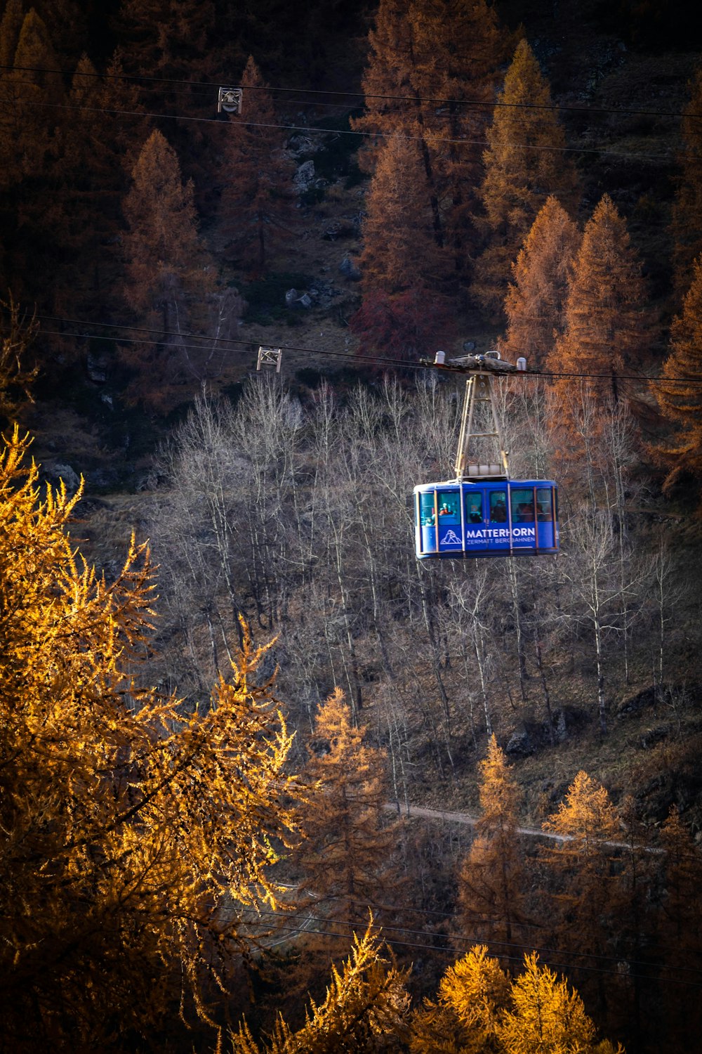 Téléphérique bleu et blanc au-dessus d’arbres verts pendant la journée