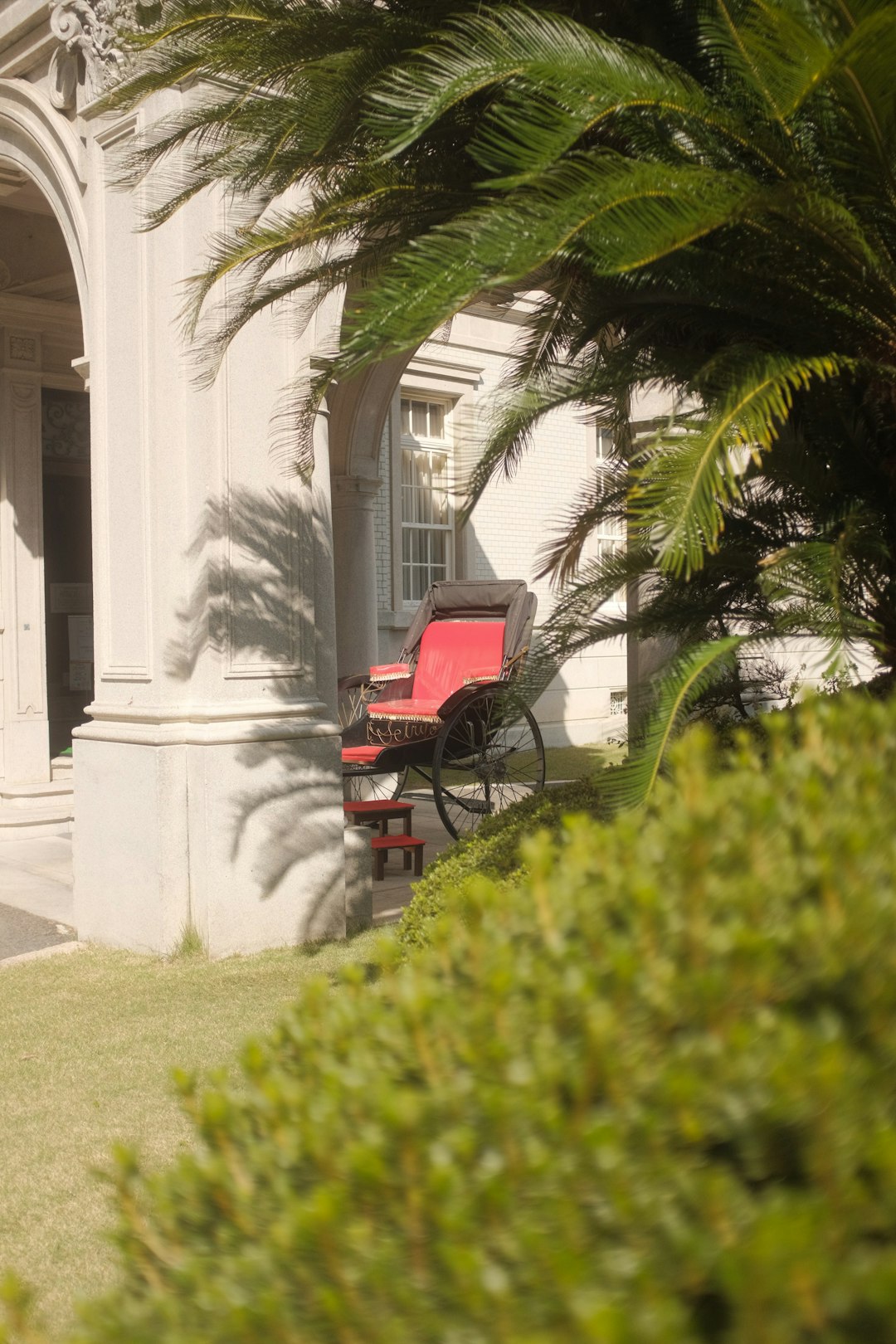 red and black wooden bench near green palm tree during daytime