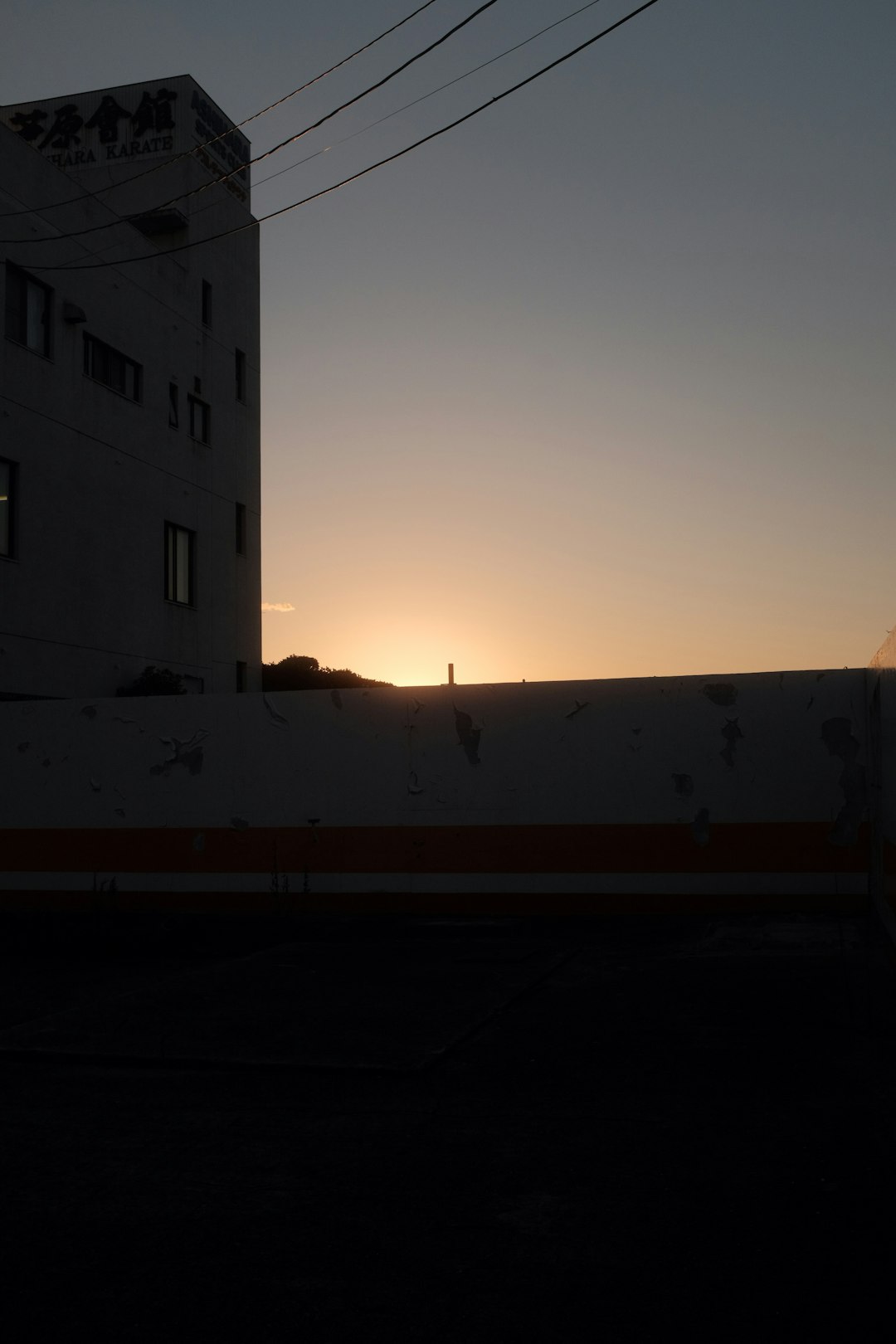 silhouette of birds flying over the building during sunset