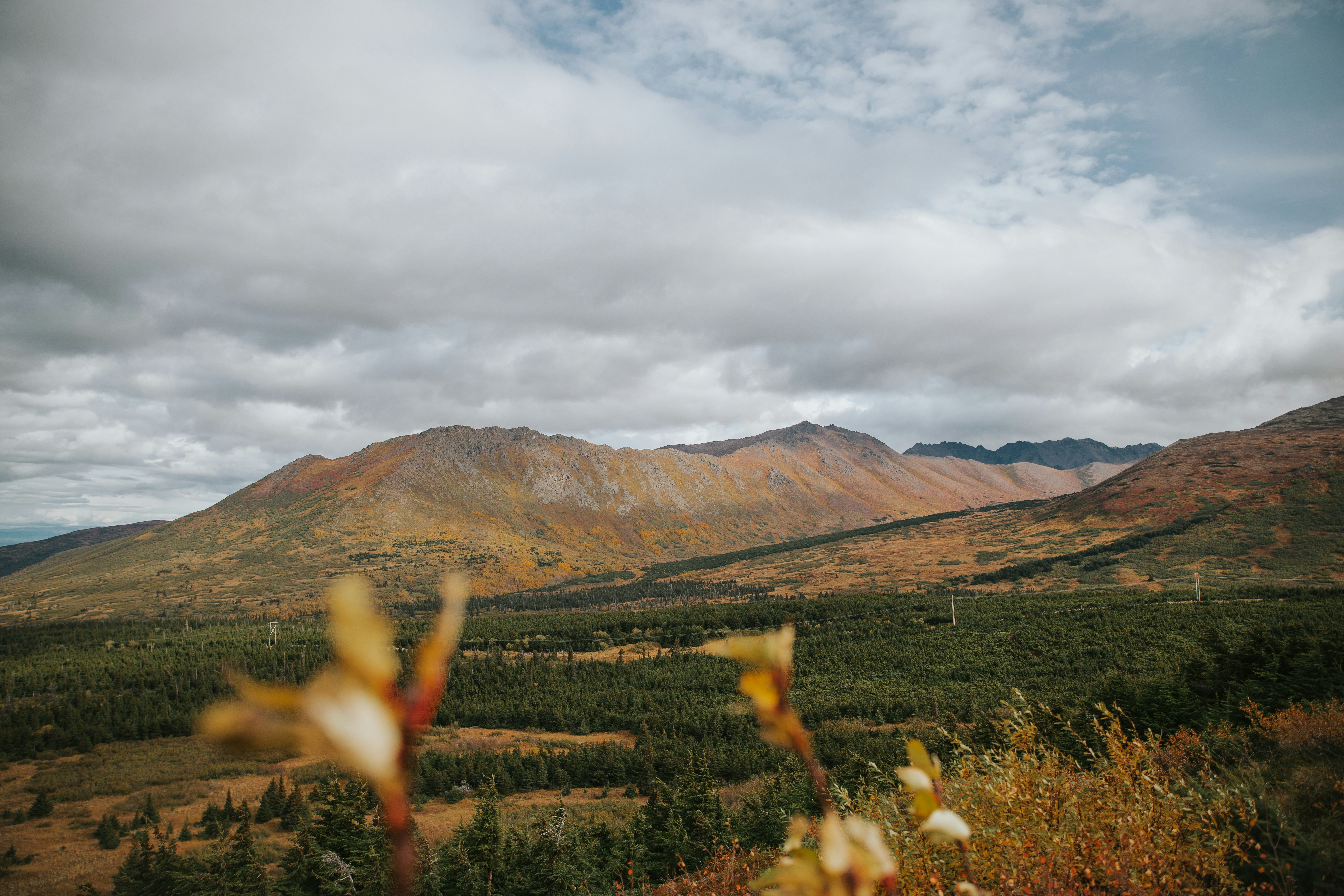 Photo by taylooorann