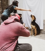 A dog sits attentively while a person extends their arm to offer a treat. Another person is positioned behind the dog, and someone wearing a red hoodie is crouched in the foreground, possibly taking a photo. The background consists of a white sheet hanging on a wall, and the setting appears to be outdoors with sunlight casting shadows.