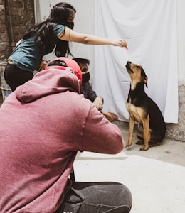 A dog sits attentively while a person extends their arm to offer a treat. Another person is positioned behind the dog, and someone wearing a red hoodie is crouched in the foreground, possibly taking a photo. The background consists of a white sheet hanging on a wall, and the setting appears to be outdoors with sunlight casting shadows.