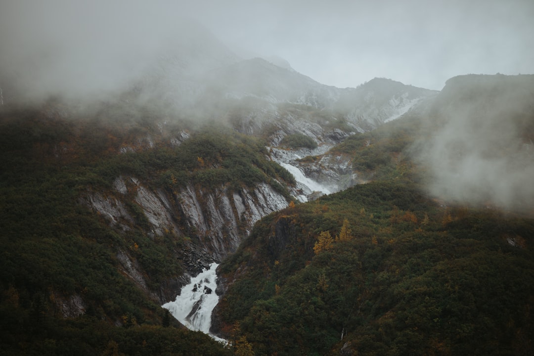 green and brown mountain with white fog