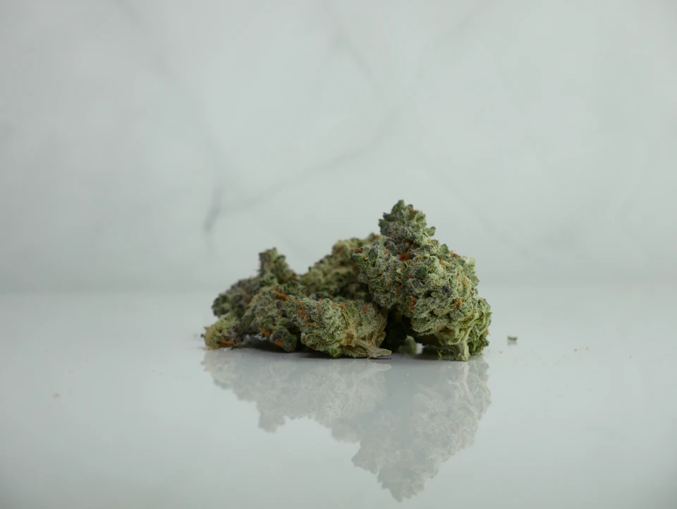 Single marijuana bud, 'green weed', sits on white surface against gray background prominently displayed