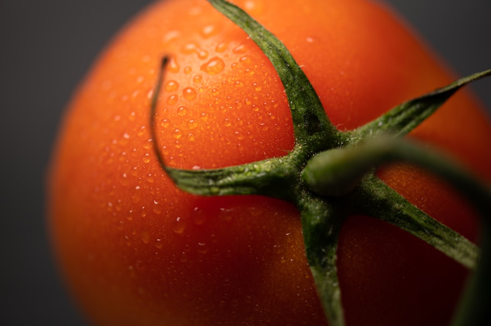 tomate rojo sobre mesa de madera marrón