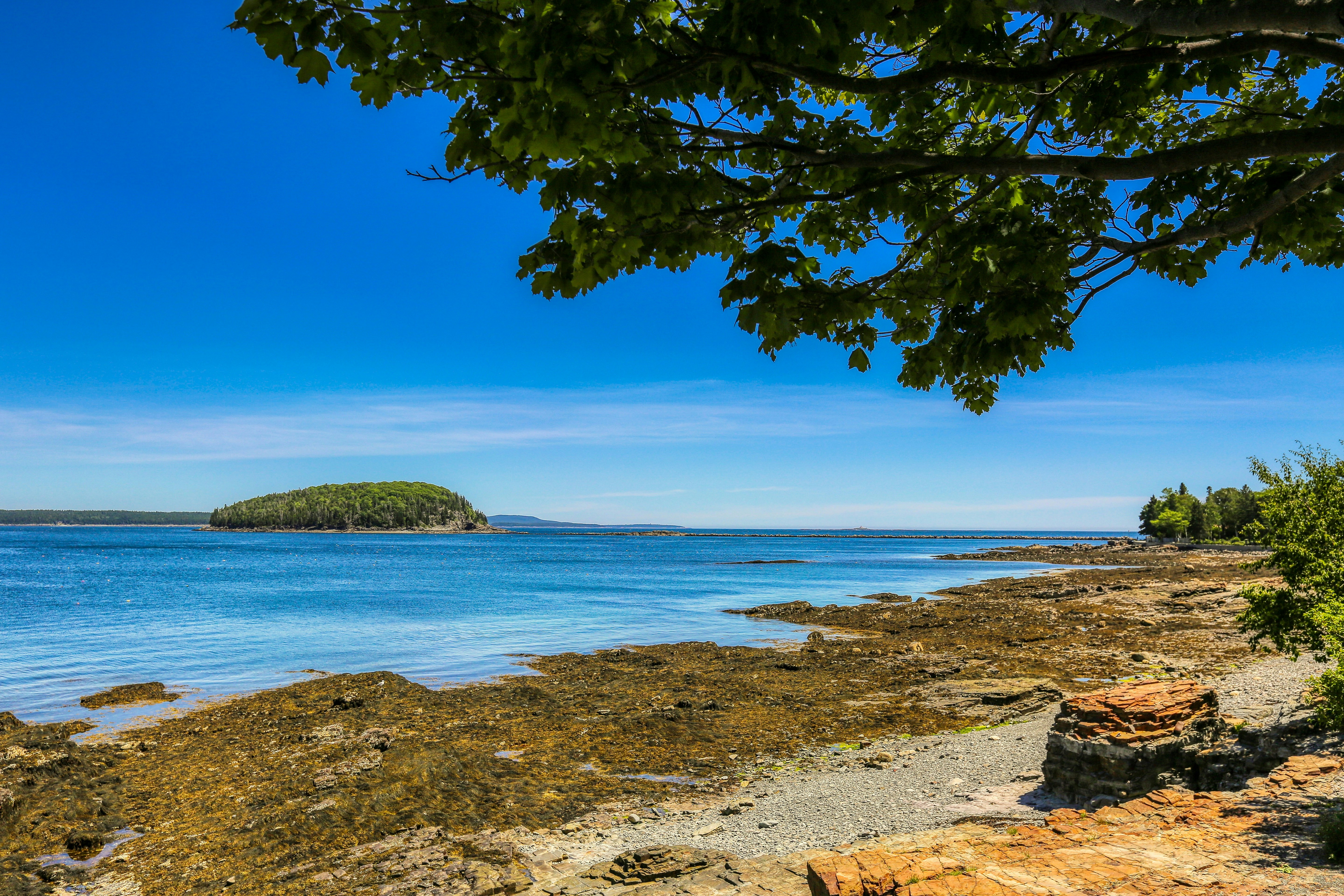 Photo by rocinante_11