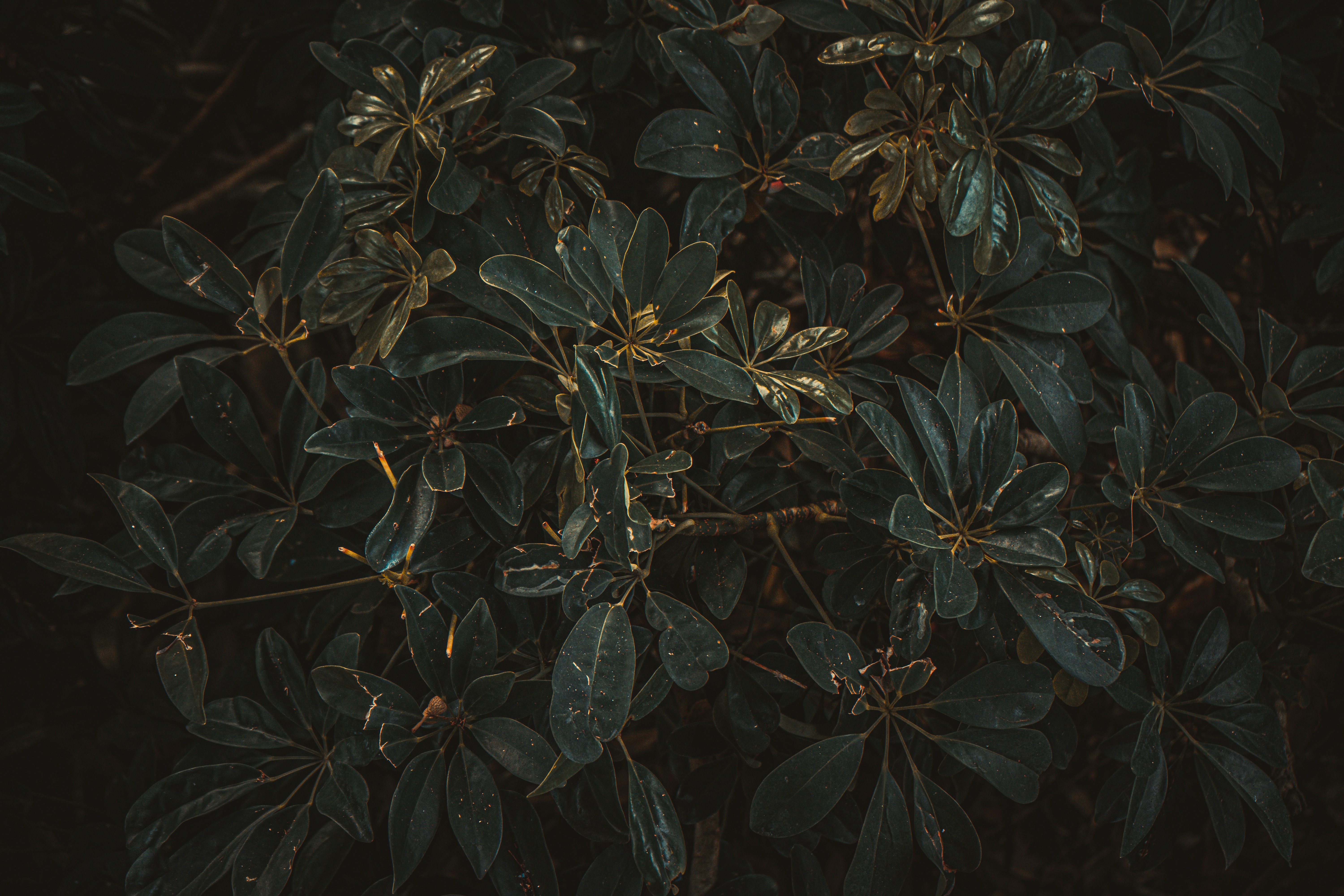 Photo by marcusurbenz