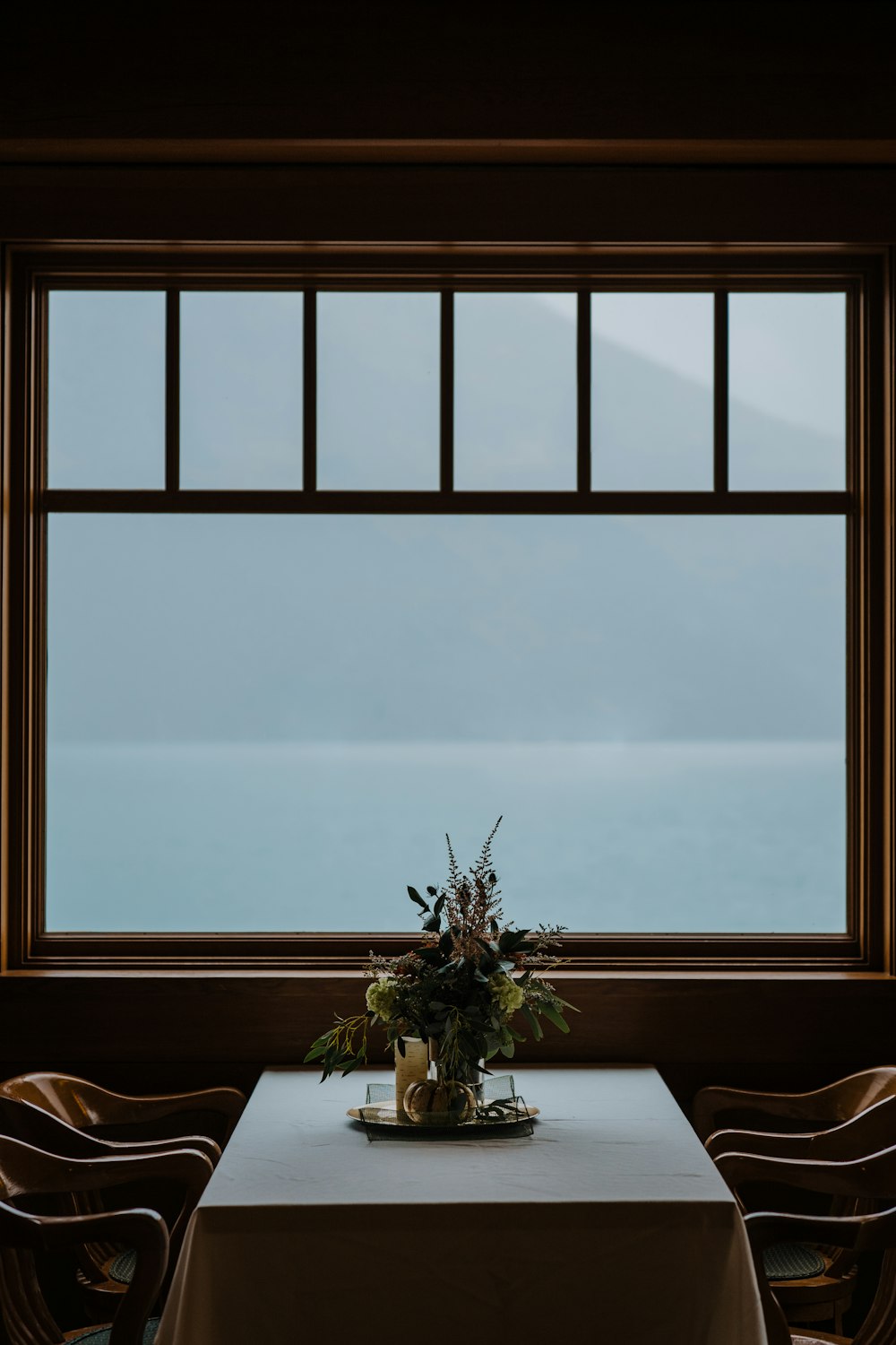 green plant on brown wooden window frame