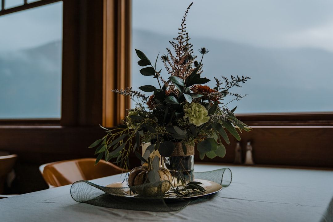 green and brown plant on white ceramic plate