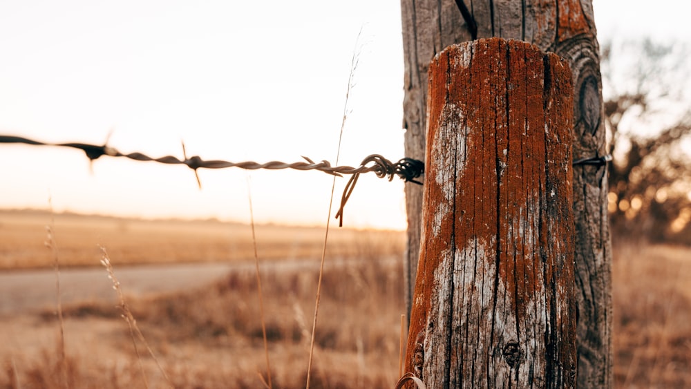 brown wooden fence with gray rope