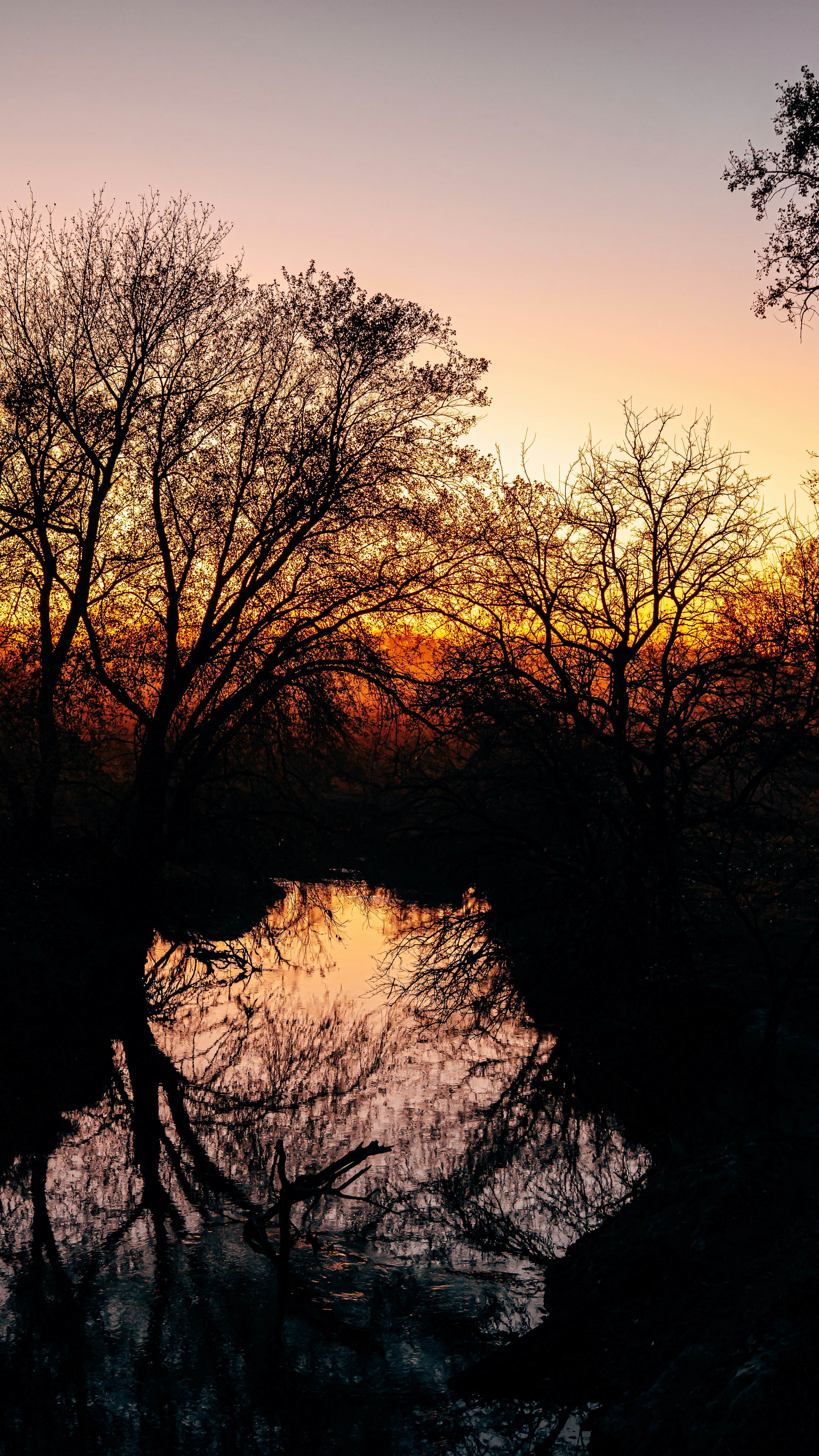 Photo by taylorsiebert