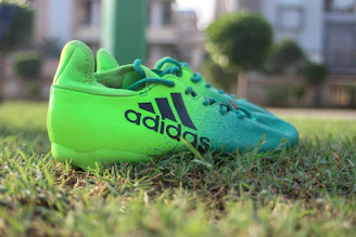 green and blue nike athletic shoe on green grass