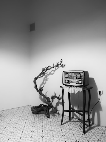 A vintage television set sits on a wooden stand, adorned with a lace doily. The floor features a patterned tile. In the corner, a decorative, twisted dry branch adds an artistic touch against the empty wall.