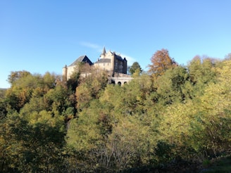 A historic castle perched on a hilltop, surrounded by autumn foliage.