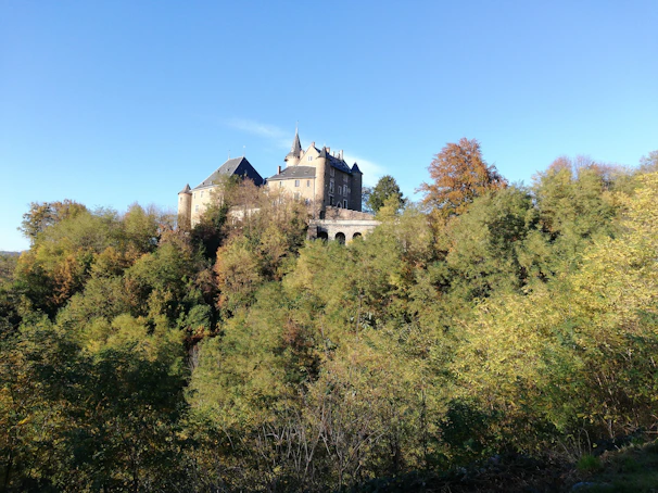 Historic Bran Castle framed by autumn foliage under a clear blue sky.