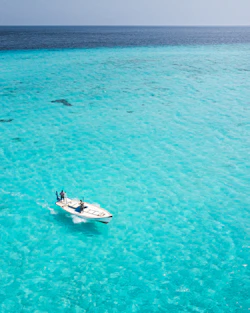 white and black boat on blue sea during daytime