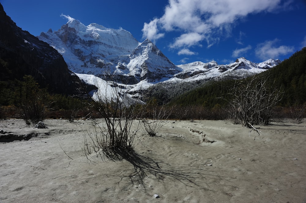 snow covered mountain under blue sky during daytime