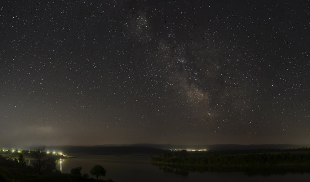 silueta de árboles bajo la noche estrellada