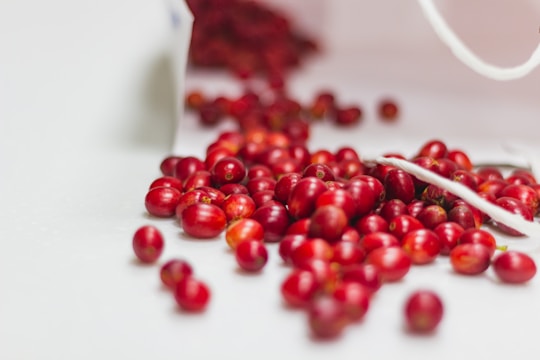 A close-up view of numerous small, round red berries scattered across a smooth white surface, with some of the berries appearing to spill out of a white container.