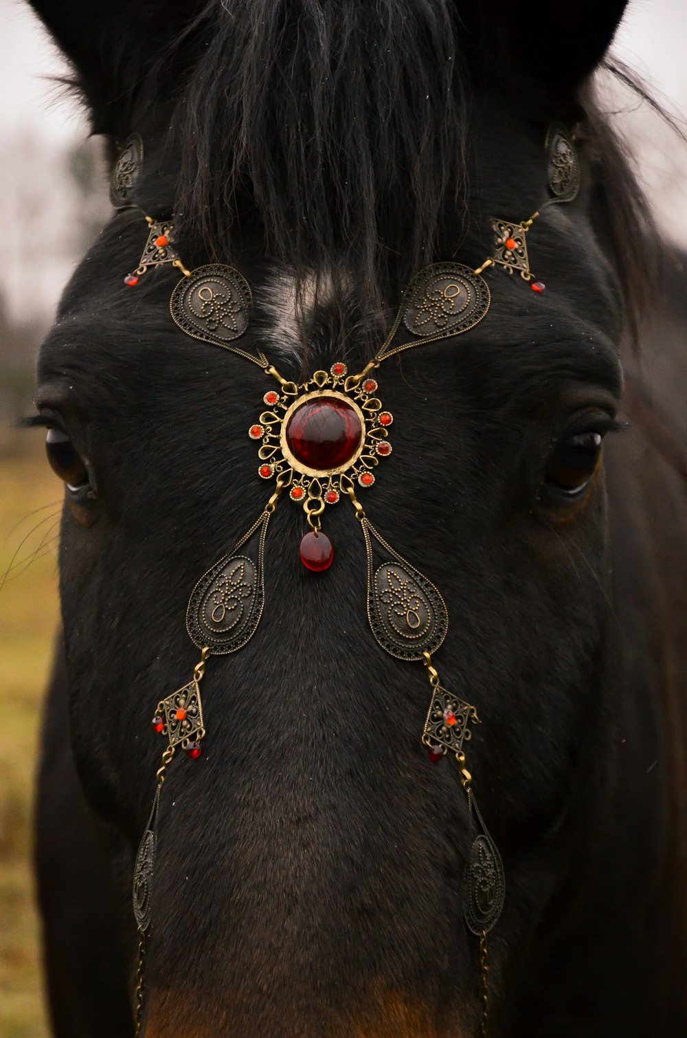 black horse with gold and pink necklace