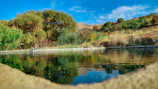 A vibrant image of a terrain with a small pond reflecting the sky and trees.
